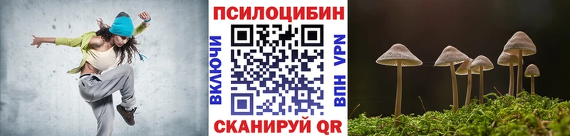 Псилоцибиновые грибы прущие грибы  KRAKEN ССЫЛКА  Бирюсинск 